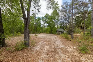 10111 NE 114 St, Archer, FL 32618 - Photo 8