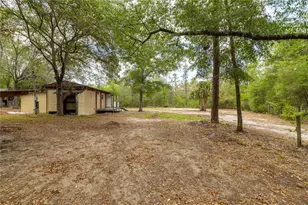 10111 NE 114 St, Archer, FL 32618 - Photo 12