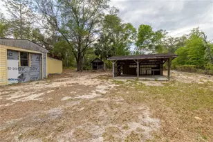 10111 NE 114 St, Archer, FL 32618 - Photo 10