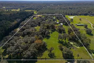 12100 NW 110th Ave, Reddick, FL 32686 - Photo 38