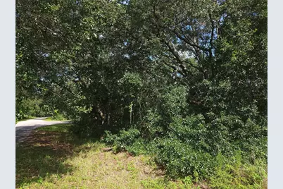 Lot 20 SE Fisher Lane Pass, Ocklawaha, FL 32179 - Photo 8