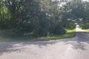 Lot 20 SE Fisher Ln Pass, Ocklawaha, FL 32179 - Photo 1