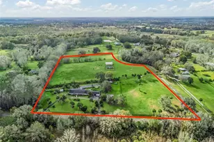 6994 NW 320 Hwy, Micanopy, FL 32667 - Photo 2