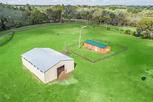 6994 NW 320 Hwy, Micanopy, FL 32667 - Photo 44