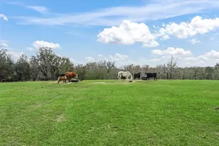 6994 NW 320 Hwy, Micanopy, FL 32667 - Photo 34