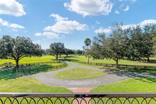 901 SW 87th Pl, Ocala, FL 34476 - Photo 50