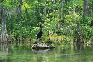 20840 Chestnut St, Dunnellon, FL 34431 - Photo 50