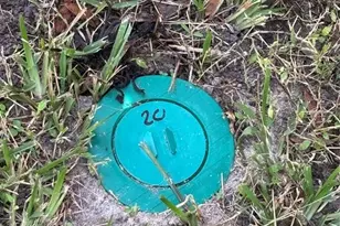 3217 NE 14th Ave, Ocala, FL 34479 - Photo 30