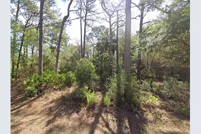 8367 N Firefly Terrace, Crystal River, FL 34428 - Photo 4