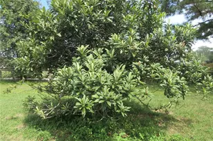 8500 NE 41st Ct, Anthony, FL 32617 - Photo 92