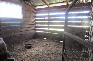 8500 NE 41st Ct, Anthony, FL 32617 - Photo 64