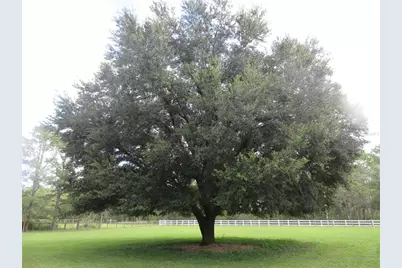 8500 NE 41st Court, Anthony, FL 32617 - Photo 98