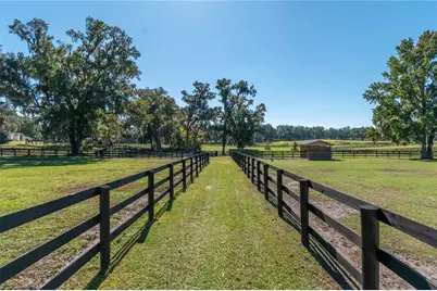 8820 NW 130th Street, Reddick, FL 32686 - Photo 58