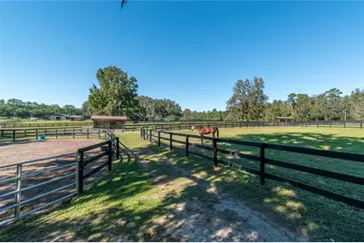 8820 NW 130th Street, Reddick, FL 32686 - Photo 54