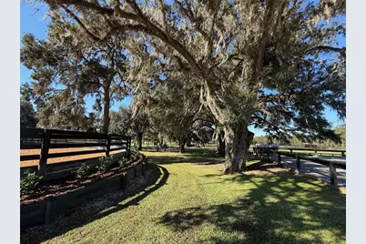 8820 NW 130th Street, Reddick, FL 32686 - Photo 76