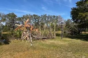 53 N Archwood Dr, Inverness, FL 34450 - Photo 74