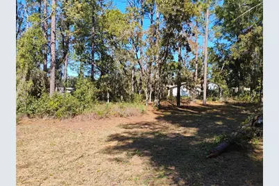 4551 SW 194th Avenue, Dunnellon, FL 34432 - Photo 14