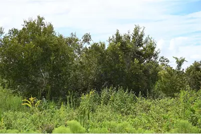 County Line Road E, Fort Meade, FL 33841 - Photo 12