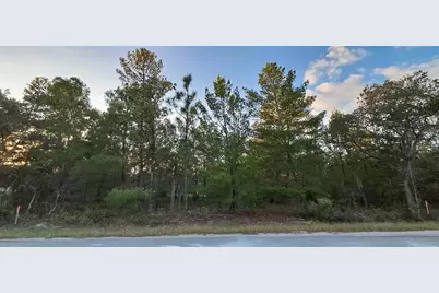 0 Fisher Course #9, Ocklawaha, FL 32179 - Photo 1