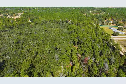 9478 N Timber Creek Terrace, Dunnellon, FL 34433 - Photo 10