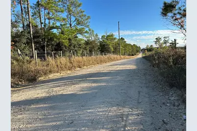 Tbd SE 150th Avenue, Morriston, FL 32668 - Photo 8