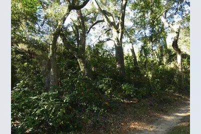 13701 NE 10th Court, Citra, FL 32113 - Photo 10