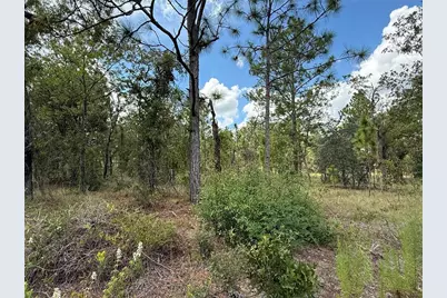 Deer Park Heights SW, Dunnellon, FL 34431 - Photo 1