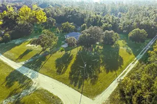13150 NE 40 Ln, Williston, FL 32696 - Photo 32