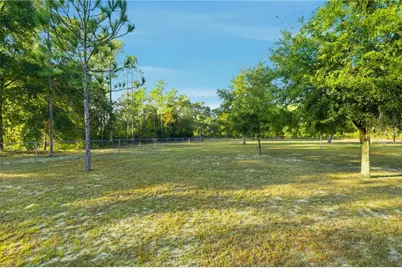 13150 NE 40 Lane, Williston, FL 32696 - Photo 10