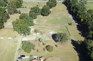 4540 W Hwy 318, Citra, FL 32113 - Photo 72