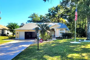 9707 SW 196th Avenue Rd, Dunnellon, FL 34432 - Photo 1