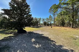 3090 SW Timberlake Rd, Dunnellon, FL 34431 - Photo 22