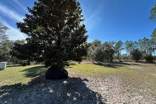 3090 SW Timberlake Rd, Dunnellon, FL 34431 - Photo 28