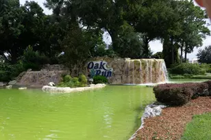 6635 SW 113th Pl, Ocala, FL 34476 - Photo 36