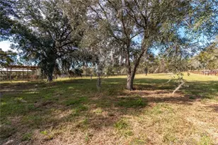 6550 SE 143rd Ct, Morriston, FL 32668 - Photo 40