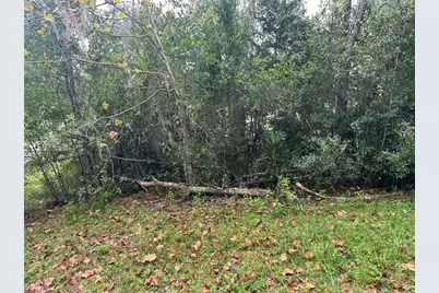 2713 Adams Street W, Inverness, FL 34453 - Photo 2