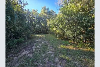 4322 N Carl G Rose Highway, Hernando, FL 34442 - Photo 4
