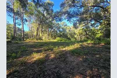 4322 N Carl G Rose Highway, Hernando, FL 34442 - Photo 16