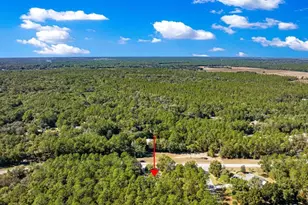 7535 SW 185th Avenue Rd, Dunnellon, FL 34432 - Photo 52