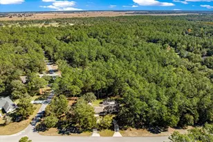 7535 SW 185th Avenue Rd, Dunnellon, FL 34432 - Photo 60