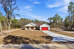 12915 SW 85th Pl, Dunnellon, FL 34432 - Photo 38