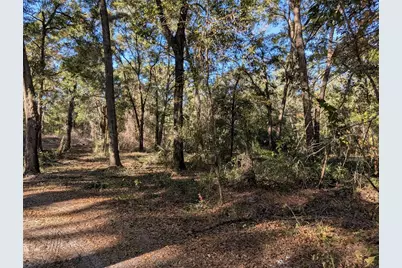 4739 SE 60th Avenue, Trenton, FL 32693 - Photo 46