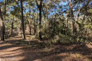 4739 SE 60th Ave, Trenton, FL 32693 - Photo 46