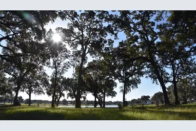 Off Hwy 301, Summerfield, FL 34491 - Photo 20