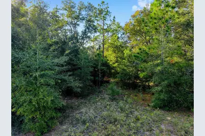 Sw 151st Avenue, Ocala, FL 34481 - Photo 8