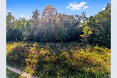 Sw 151st Avenue, Ocala, FL 34481 - Photo 16