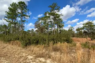 23063 SW Edgewater Blvd, Dunnellon, FL 34431 - Photo 18