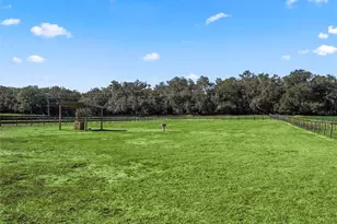 250 NE 195 Ave, Williston, FL 32696 - Photo 18