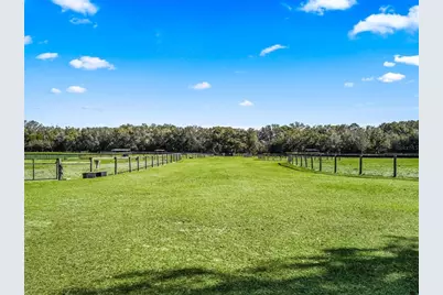 250 NE 195th Avenue, Williston, FL 32696 - Photo 10