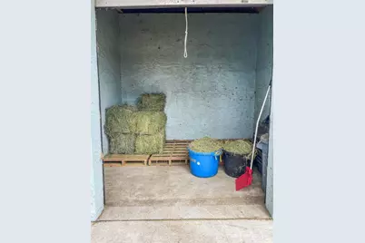 250 NE 195th Avenue, Williston, FL 32696 - Photo 12